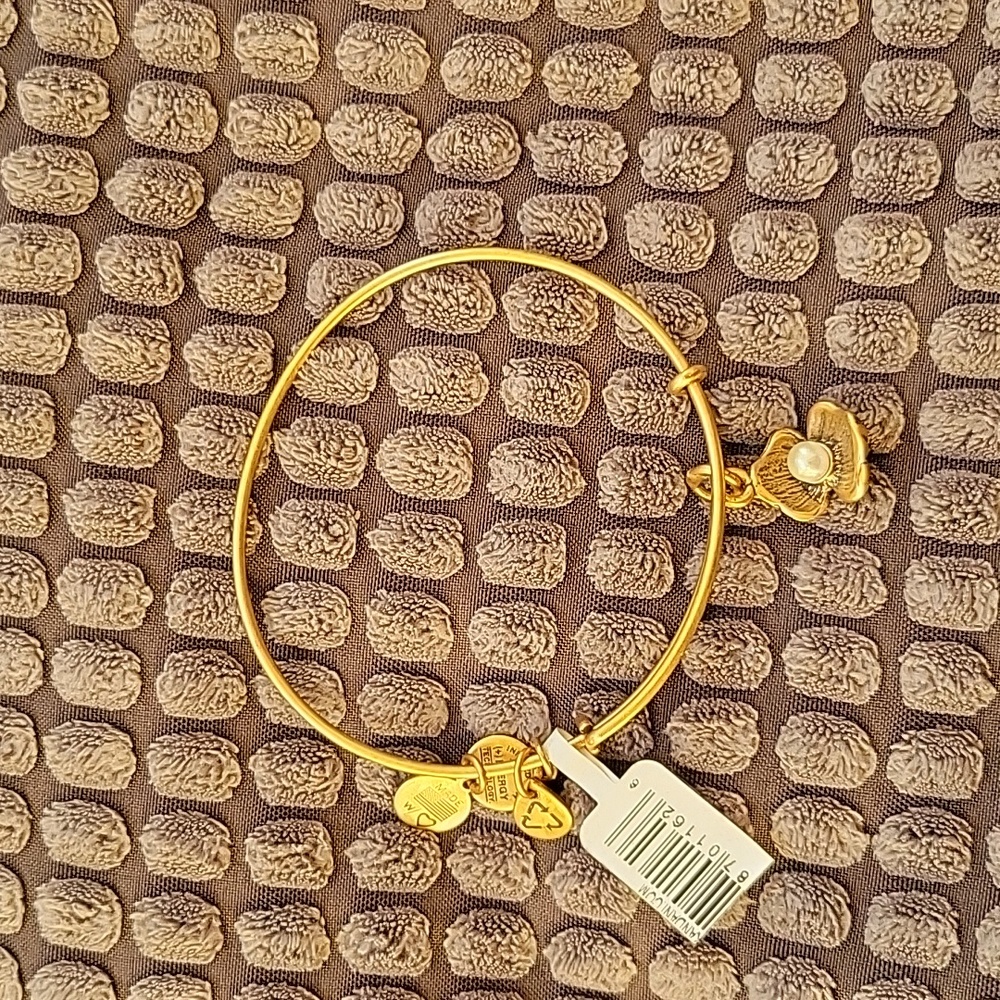 Alex and Ani Clam Pearl Gold Expandable Charm Bracelet